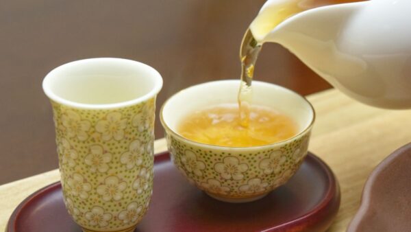 【生活・食・中国茶】『プーアール茶』と『ウーロン茶』の魅力を徹底比較！あなたの知らない茶の世界！と題してICTエンジニアが解説をしてみます。