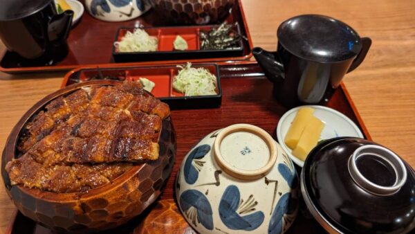 【生活・食・魚】『うなぎ』・『あなご』・『はも』の違いを徹底比較！ 知らなかった海の幸の魅力を完全ガイド！それぞれの味と特性を解明！