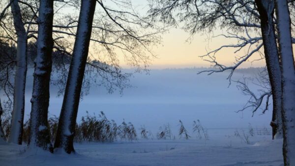 【自然科学・大気現象・学び】『霧』と『霞』の違いを学ぶ：自然の神秘と美しさ！不思議と謎にも迫るガイド！