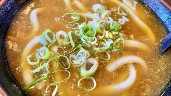 【生活・食・カレー】『カレーうどん』vs 『カレー南蛮』の違いとは？：日本の伝統的麺料理の秘密を探る！